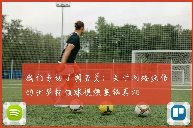 我们专访了调查员：关于网络疯传的世界杯假球视频集锦真相