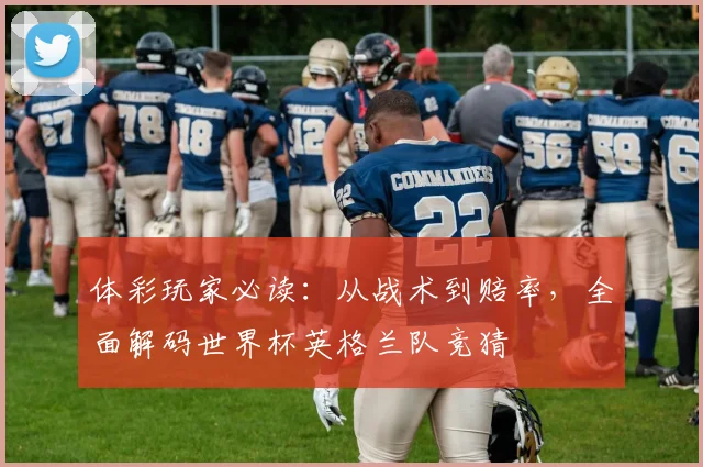 体彩玩家必读：从战术到赔率，全面解码世界杯英格兰队竞猜