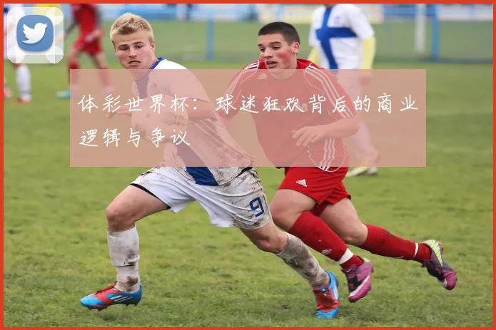 体彩世界杯：球迷狂欢背后的商业逻辑与争议