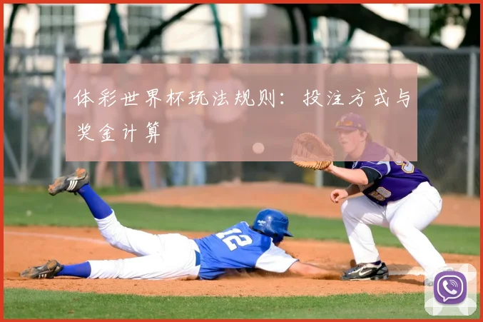 体彩世界杯玩法规则：投注方式与奖金计算