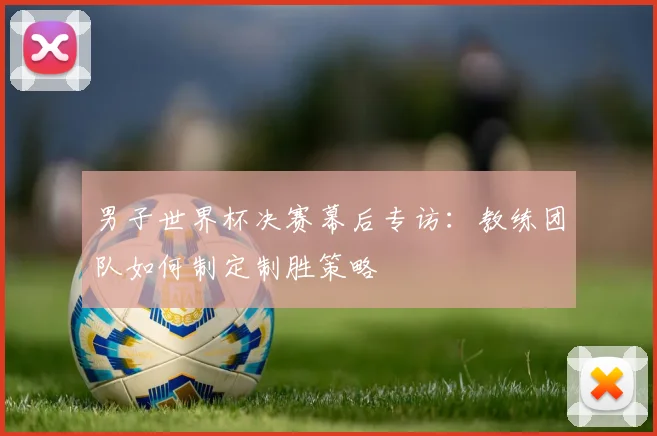 男子世界杯决赛幕后专访：教练团队如何制定制胜策略